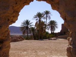 Foum Figuig - فجيج 