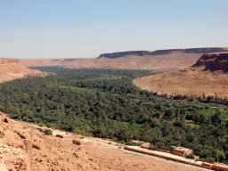 Tafilalt - تفيلالة