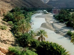 Ziz Tal - واد زيز